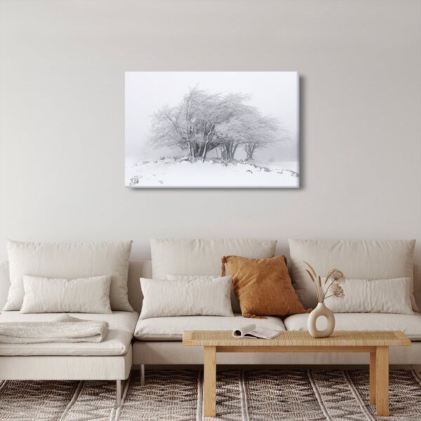 Slika - Bela zima (90x60 cm)