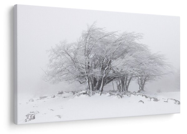 Slika - Bela zima (90x60 cm)