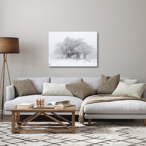 Slika - Bela zima (70x50 cm)