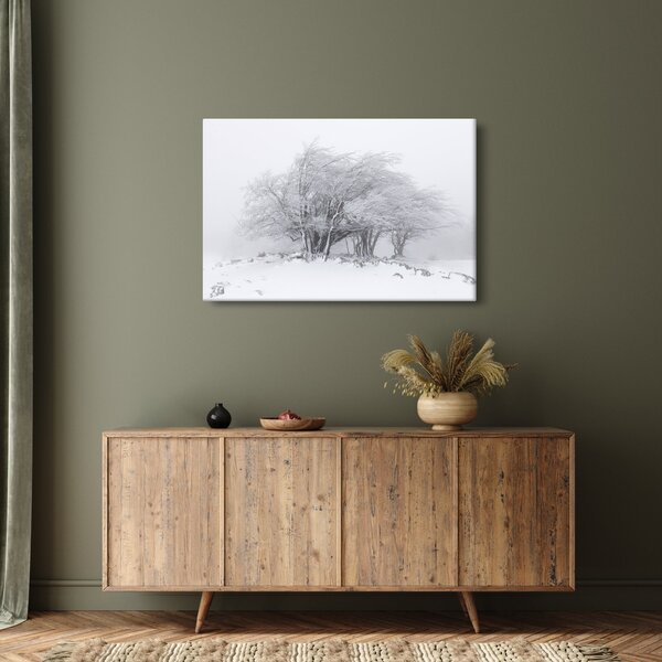 Slika - Bela zima (90x60 cm)