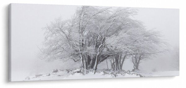 Slika - Bela zima (120x50 cm)