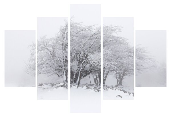 Slika - Bela zima (150x105 cm)