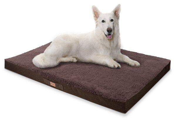 Brunolie Balu, podloga za psa, jastuk za psa, perivi, ortopedski, protuklizni, prozračna memorijska pjena, veličina XXL (135 × 10 × 100 cm)