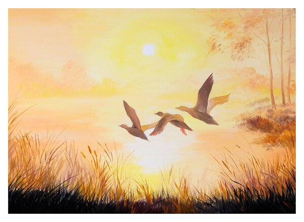 Slika - Žerjavi ob sončnem zahodu (70x50 cm)
