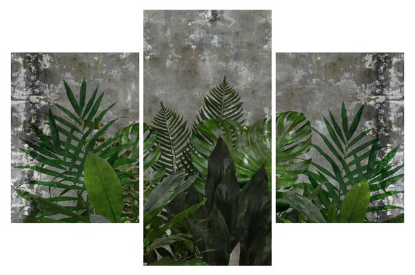 Slika - Betonski zid z rastlinami (90x60 cm)