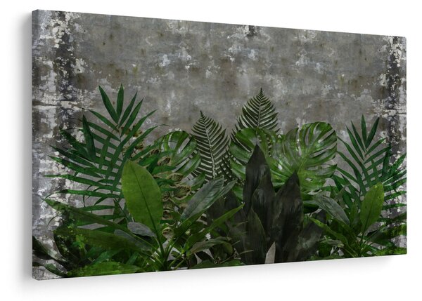 Slika - Betonski zid z rastlinami (90x60 cm)