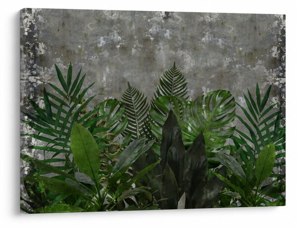 Slika - Betonski zid z rastlinami (70x50 cm)