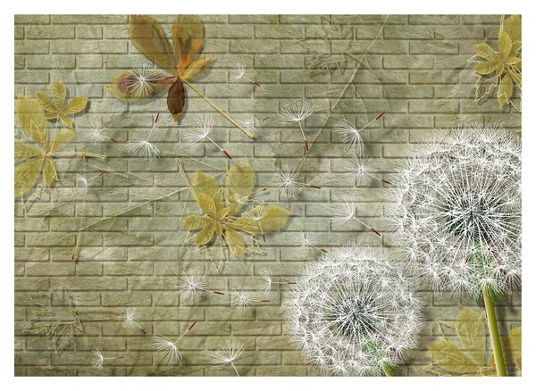 Slika - Regrat, ki ga raznaša veter (70x50 cm)