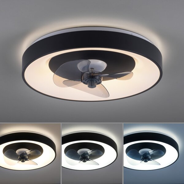 JUST LIGHT. GmbH Venika LED stropni ventilator, crna CCT, daljinski upravljač, Ø 48,6 cm, prigušiva, Crno, Dnevni boravak/blagovaonica, Metal