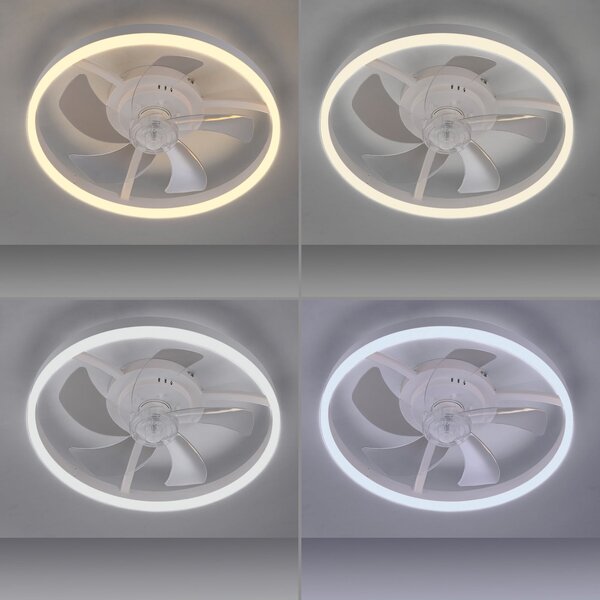 JUST LIGHT. GmbH Bijeli LED stropni ventilator Rita, CCT, daljinski upravljač, Ø 50 cm, prigušiva, Bijela, Dnevni boravak/blagovaonica, Metal