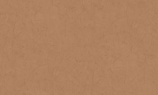 Flis tapeta za zid, brončana, smeđa, imitacija dekorativne žbuke, 6614, Metamorphosis, Pigmenta, Parato by Cristiana Masi | Ljepilo Gratis