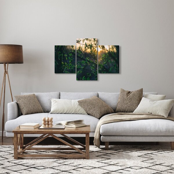Slika sunca koje sja kroz grančice drveća (90x60 cm)
