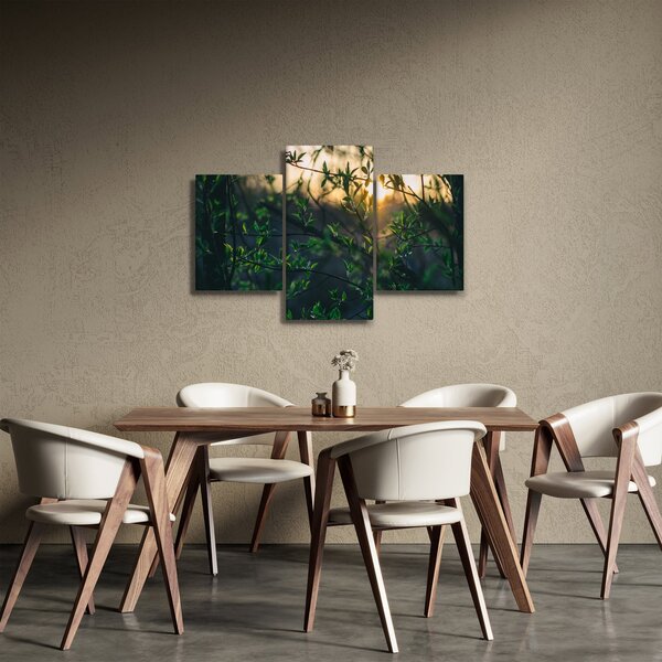 Slika sunca koje sja kroz grančice drveća (90x60 cm)