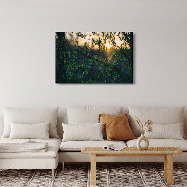 Slika sunca koje sja kroz grančice drveća (90x60 cm)