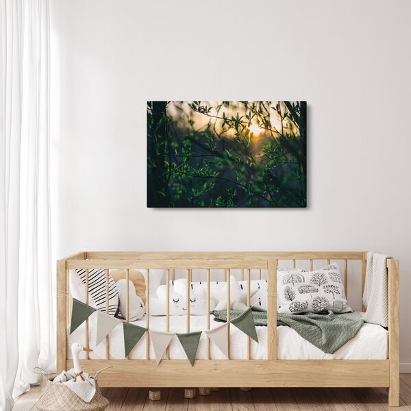 Slika sunca koje sja kroz grančice drveća (90x60 cm)