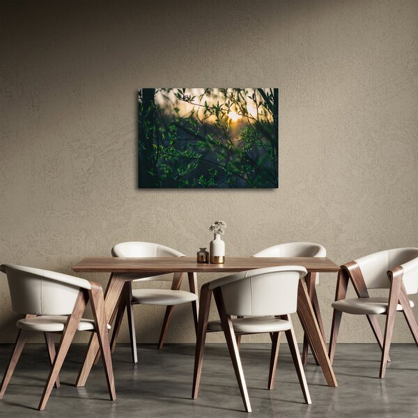 Slika sunca koje sja kroz grančice drveća (70x50 cm)