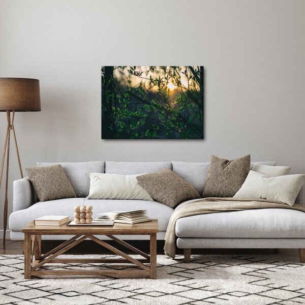 Slika sunca koje sja kroz grančice drveća (70x50 cm)