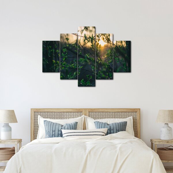 Slika sunca koje sja kroz grančice drveća (150x105 cm)