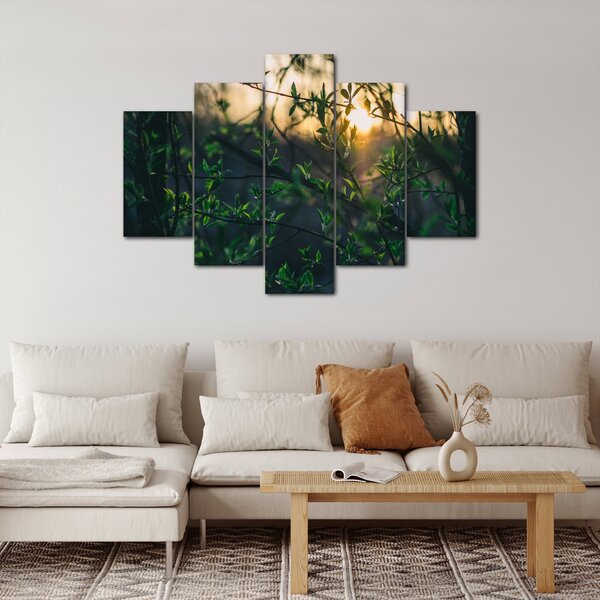 Slika sunca koje sja kroz grančice drveća (150x105 cm)