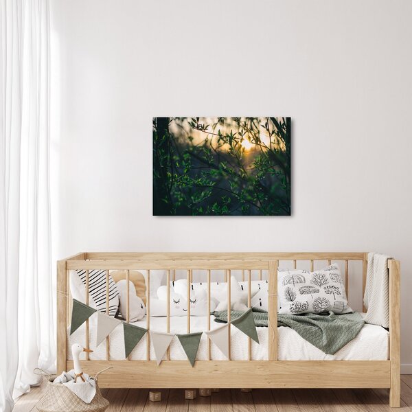 Slika sunca koje sja kroz grančice drveća (70x50 cm)