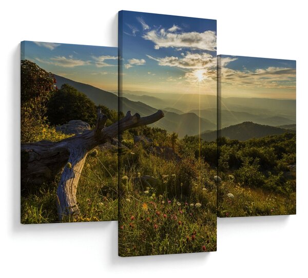 Slika - Pogled na okolicu (90x60 cm)