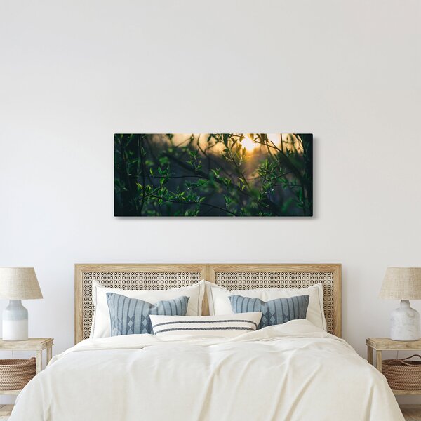 Slika sunca koje sja kroz grančice drveća (120x50 cm)