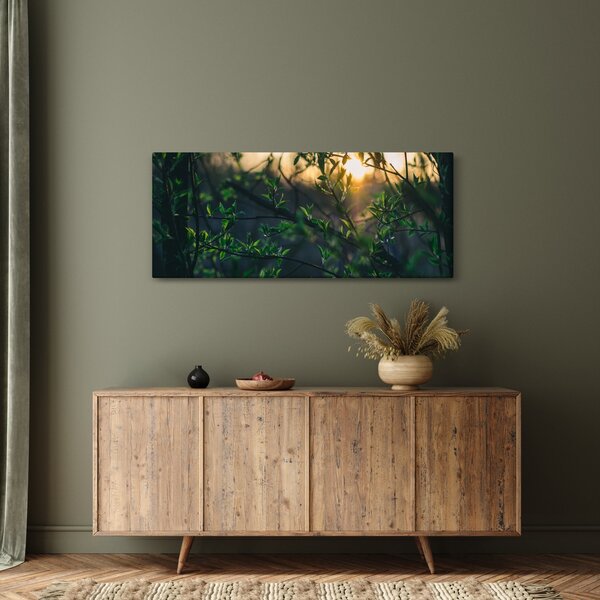 Slika sunca koje sja kroz grančice drveća (120x50 cm)