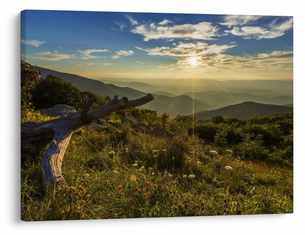 Slika - Pogled na okolicu (70x50 cm)