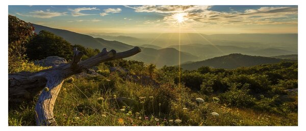 Slika - Pogled na okolicu (120x50 cm)