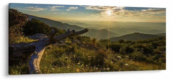 Slika - Pogled na okolicu (120x50 cm)