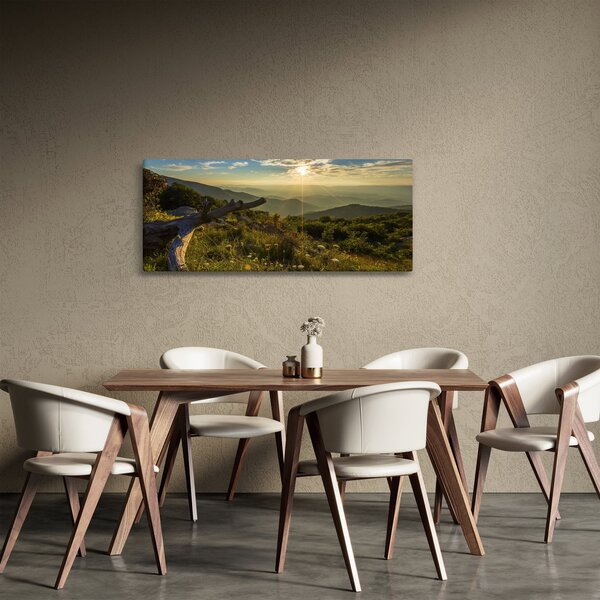Slika - Pogled na okolicu (120x50 cm)