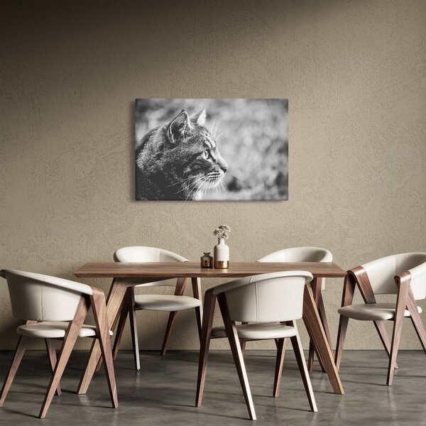 Slika - Mačka (90x60 cm)