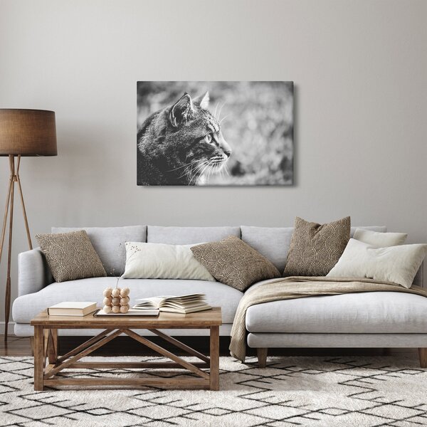 Slika - Mačka (90x60 cm)
