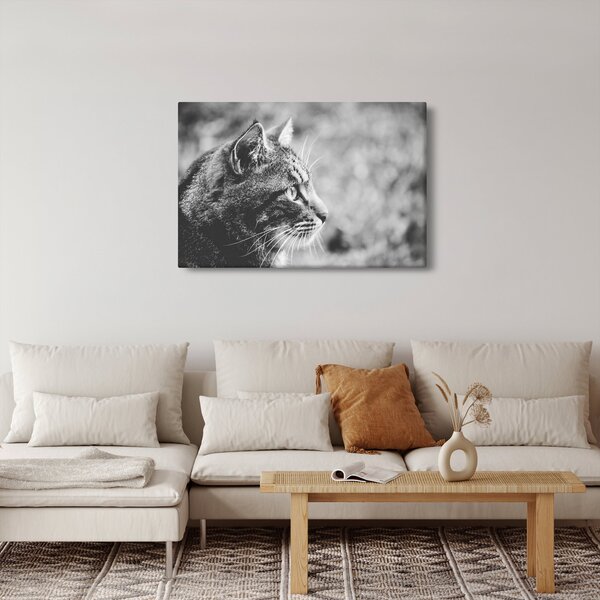 Slika - Mačka (90x60 cm)