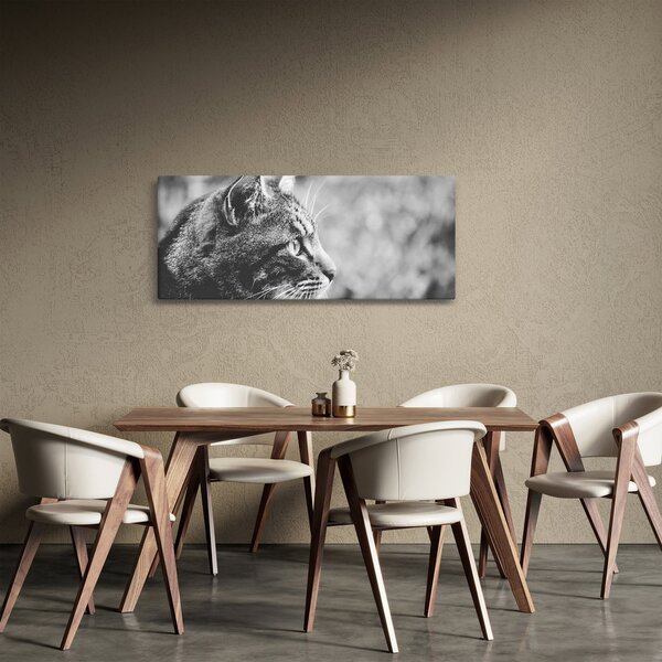 Slika - Mačka (120x50 cm)