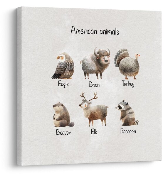 Slika ilustracija američkih životinja
