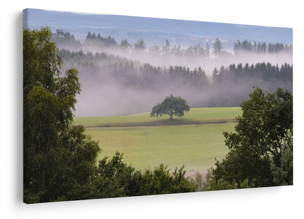 Slika livade sa stablom (90x60 cm)