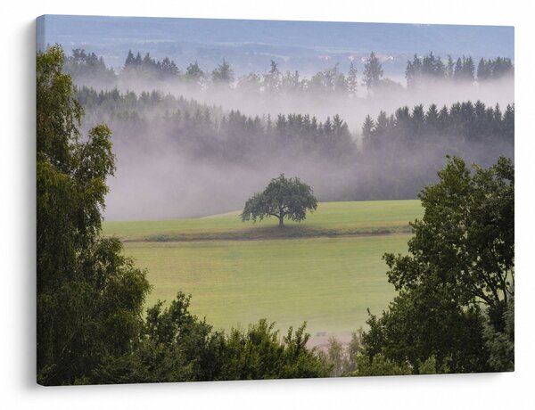 Slika livade sa stablom (70x50 cm)