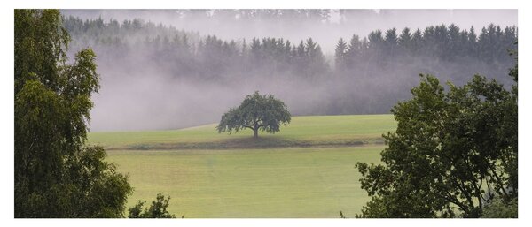 Slika livade sa stablom (120x50 cm)