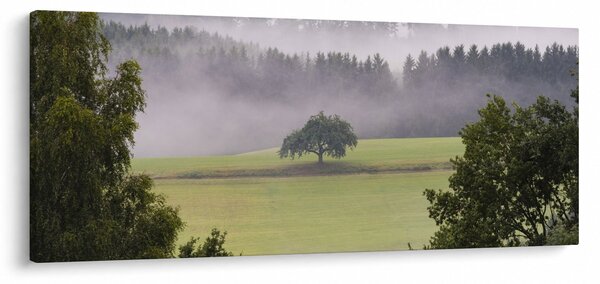 Slika livade sa stablom (120x50 cm)