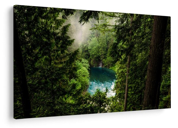 Slika - Pogled između stabala (90x60 cm)