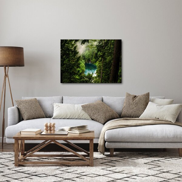 Slika - Pogled između stabala (70x50 cm)