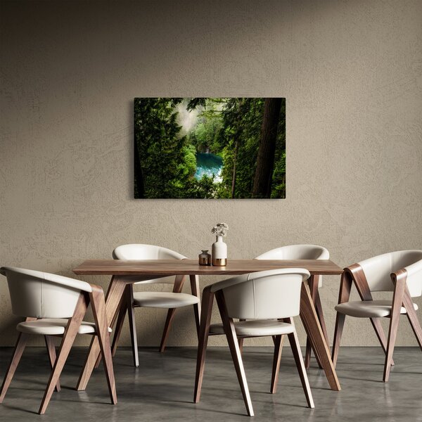 Slika - Pogled između stabala (90x60 cm)