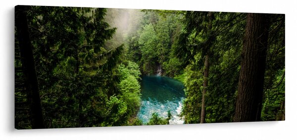 Slika - Pogled između stabala (120x50 cm)