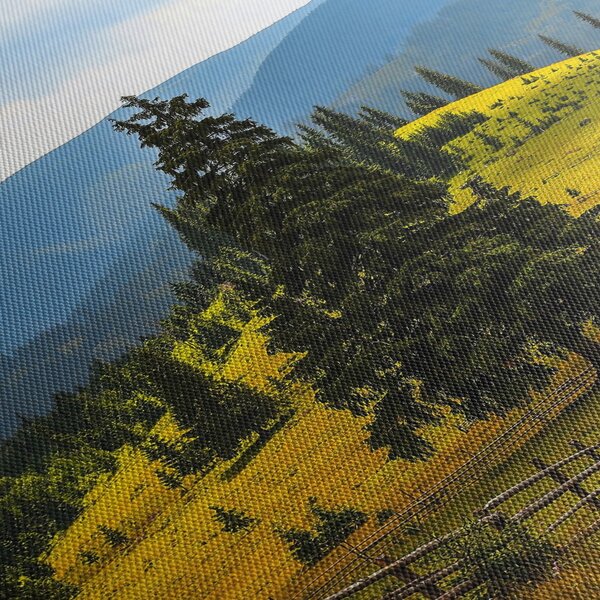 Slika - Planinska livada (120x50 cm)