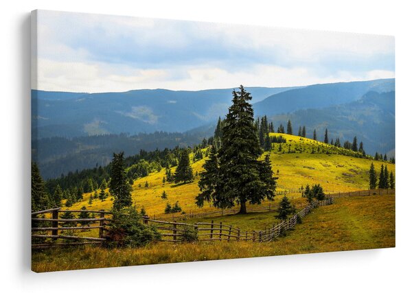 Slika - Planinska livada (90x60 cm)