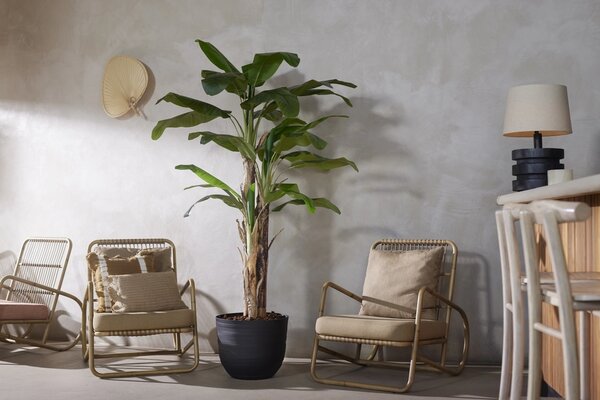 Umjetna banana 200 cm u tegli - 181 - 200 cm