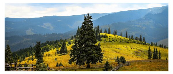 Slika - Planinska livada (120x50 cm)