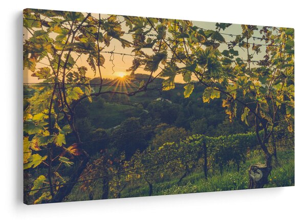 Slika - Vinograd (90x60 cm)