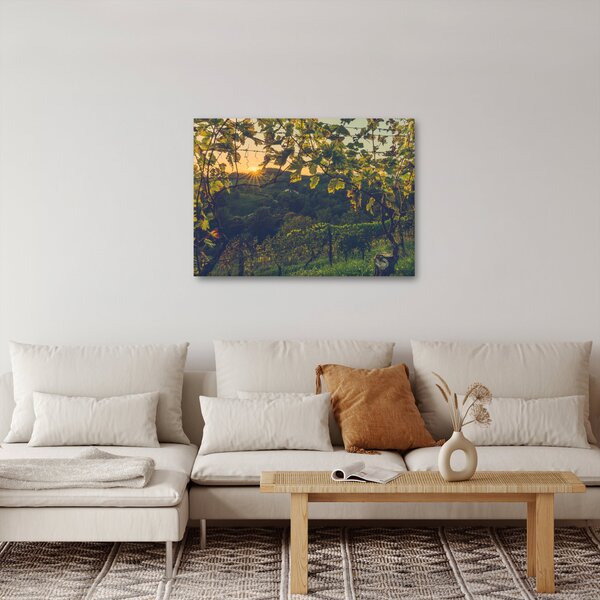 Slika - Vinograd (70x50 cm)